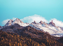 开云体育官网：以专业守护你的体育热爱与智能体验